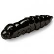 Pupa 1.5